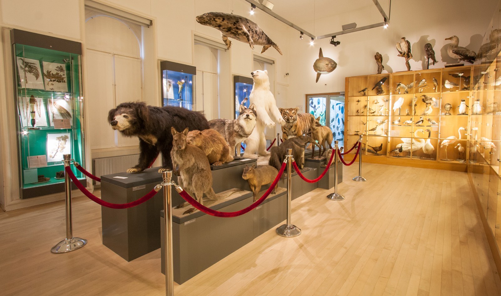 Natural History